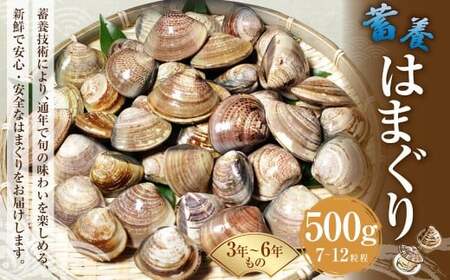 【指定日必須】 蓄養はまぐり 3年～6年もの 500g ハマグリ 蛤 貝 カイ 魚介 魚介類 海鮮 海の幸 冷蔵