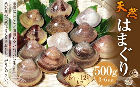 【指定日必須】 桑名産 天然はまぐり 6年～12年もの 500g ハマグリ 蛤 貝 カイ 天然 魚介 魚介類 海鮮 海の幸 冷蔵