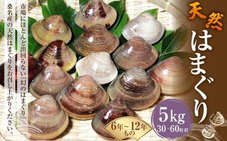 【指定日必須】 桑名産 天然はまぐり 6年～12年もの 5kg ハマグリ 蛤 貝 カイ 天然 魚介 魚介類 海鮮 海の幸 冷蔵
