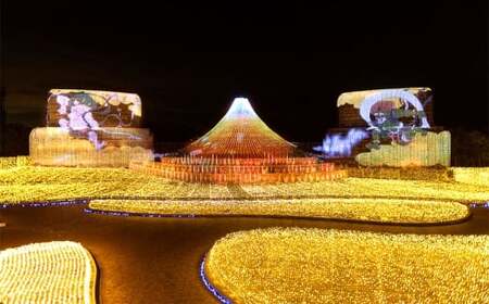 なばなの里 イルミネーション特別入村券 4名様分（ベゴニアガーデン入場券付）  ／ イルミネーション チケット イベント 入場券 券 利用券 夜 4人 4名 グループ 家族 【2026年4月下旬まで発送予定】