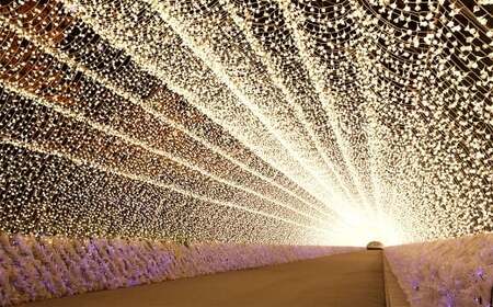 なばなの里 イルミネーション特別入村券 4名様分（ベゴニアガーデン入場券付）  ／ イルミネーション チケット イベント 入場券 券 利用券 夜 4人 4名 グループ 家族 【2026年4月下旬まで発送予定】