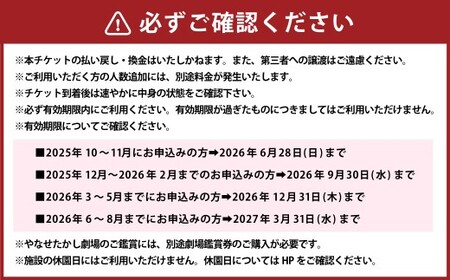 【日付指定WEBチケット】 名古屋アンパンマンこどもミュージアム＆パーク×1枚（入場チケット1名様） ／ テーマパーク ショー イベント 施設利用券 商品券 こども 子供 親子 家族