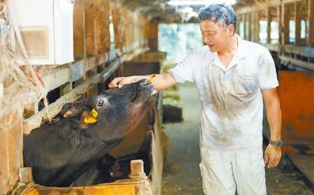 武藤牧場直売店山嘉 焼肉用お肉 約500g×6回 合計3kg 【冷蔵 定期便6ヶ月】 ／ 牛肉 焼き肉 定期便 三重県 桑名市