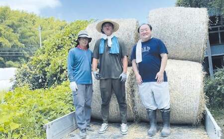 武藤牧場直売店山嘉 焼肉用お肉 約500g×6回 合計3kg 【冷蔵 定期便6ヶ月】 ／ 牛肉 焼き肉 定期便 三重県 桑名市