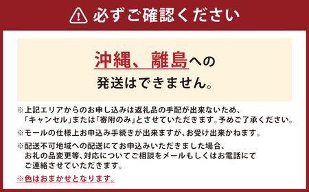 松尾園芸 シクラメン （普通鉢5号サイズ）【なくなり次第終了】【2025年12月発送予定】