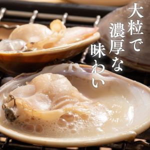 マルヨシ水産　桑名産大粒天然蛤　2kg_はまぐり　ハマグリ　魚介　貝　魚貝　活はまぐり　焼きはま　海鮮　網焼き　酒蒸し　お吸い物　パエリア　パスタ　c_74