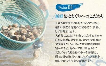 年内発送 【指定日必須】マルヨシ水産　桑名産大粒天然蛤　1kg_はまぐり　ハマグリ　魚介　貝　魚貝　活はまぐり　焼きはま　海鮮　網焼き　酒蒸し　お吸い物　パエリア　パスタ
