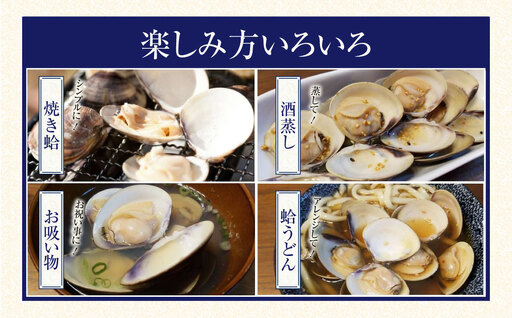 【指定日必須】マルヨシ水産　桑名産中粒天然蛤　3.3kg_はまぐり　ハマグリ　魚介　貝　魚貝　活はまぐり　焼きはま　海鮮　網焼き　酒蒸し　お吸い物　パエリア　パスタ