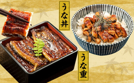 王鉄興業 木曽三川うなぎ3人前+きざみ蒲焼 鰻 ウナギ 蒲焼 かば焼 たれ タレ 土用の丑 ひつまぶし うな重 aa03