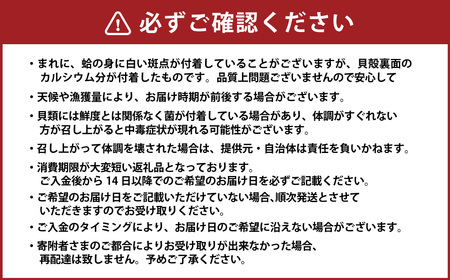 【指定日必須】 丸元水産 桑名産蛤 （ハマグリ） 1.1kg はまぐり 魚介 貝 魚貝 活はまぐり 焼きはま 海鮮 網焼き 酒蒸し お吸い物 パエリア パスタ 【2025年9月下旬から2026年6月下旬発送予定】 023-0002x1
