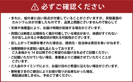 年内発送 【指定日必須】 丸元水産 桑名産蛤 （ハマグリ） 2.2kg はまぐり 魚介 貝 魚貝 活はまぐり 焼きはま 海鮮 網焼き 酒蒸し お吸い物 パエリア パスタ 【2025年9月下旬から2026年6月下旬発送予定】 023-0004x1