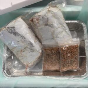 味付きバックリブ(ハーブスパイス)約400g×2p・追いスモーク(燻製)セット付