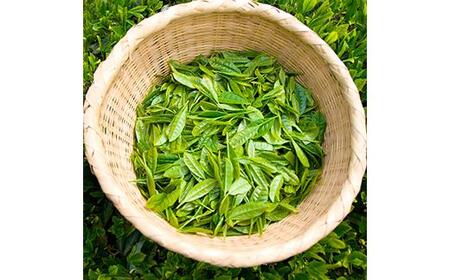 鈴鹿山麓　減糖番茶(リーフタイプ10袋セット)