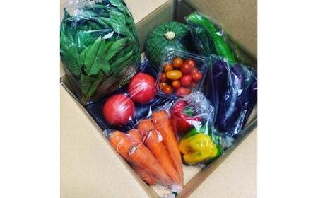三重県鈴鹿市産　旬の野菜セット　大満足10種類