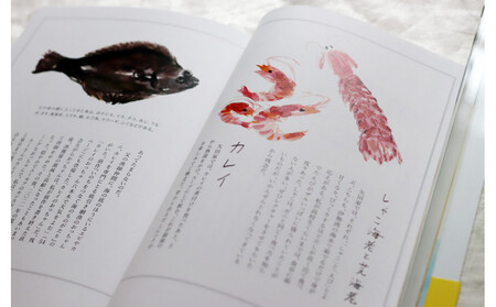 教科書にも掲載された話題作「いのちをつなぐ海のものがたり」＋続編の人気の2冊セット♪