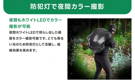 監視・防犯カメラ 屋外 家庭用 夜間フルカラー ゴマちゃん防犯灯  WTW-E1856GBX