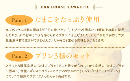 【12/15までの申込で年内にお届け!】<リピート多数!>濃厚たまごプリン3種セット