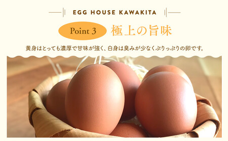 【12/15までの申込で年内にお届け!】<TVでも紹介!>鈴鹿市の「300日の幸せたまご」 10個×6パック
