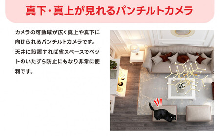 見守りペットカメラ 防犯カメラ ワイヤレス みてるちゃん WTW-NEKO245S