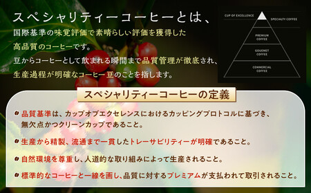 SEROWcoffee厳選 スペシャリティーコーヒー豆詰め合わせセット 6種×100g【豆のまま】