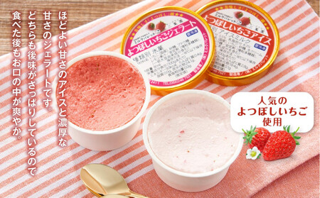 よつぼしいちごアイス・ジェラート 各3個入り