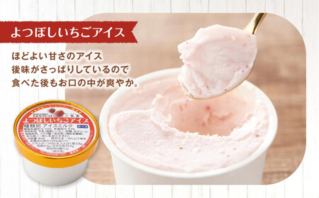 よつぼしいちごアイス・ジェラート 各3個入り