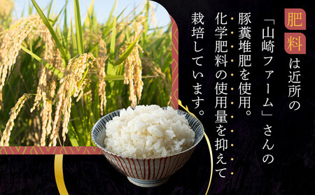 【先行予約】R7年産 白米 にじのきらめき10kg(5kg×2袋)