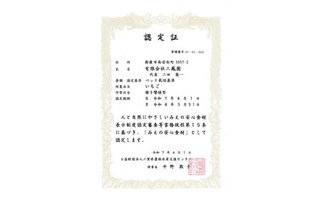 【先行予約】2026年1月　よつぼし いちご　200g×4