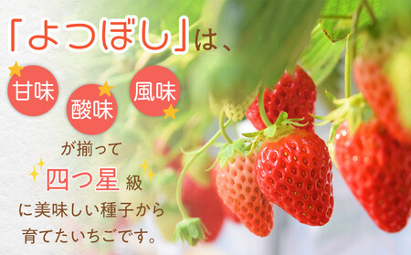 【先行予約】2026冬いちご よつぼし 250g×4 1粒約30g