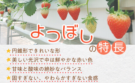 【先行予約】2026冬いちご よつぼし 250g×4 1粒約30g