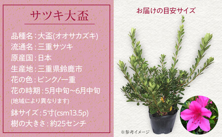 特産品の サツキツツジ大盃 15本セット