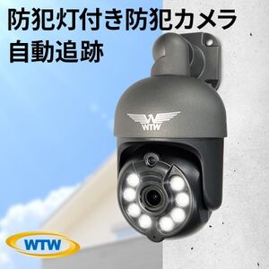みてるちゃん5Plus ガンメタ 防犯カメラ 監視カメラ 屋外 家庭用 WTW 