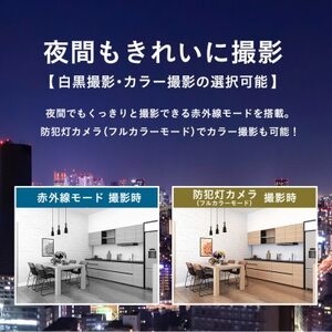 みてるちゃん5Plus ガンメタ 防犯カメラ 監視カメラ 屋外 家庭用WTW-EGDRY388GBX【1406873】