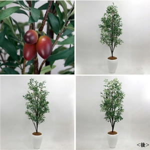 アートフラワー エミリオ・ロバ オリーブ TUTTA07800