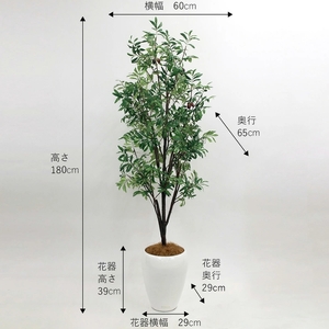 アートフラワー エミリオ・ロバ オリーブ TUTTA07800