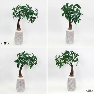 アートフラワー エミリオ・ロバ ミニパキラ TUTTA01250