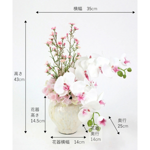 アートフラワー エミリオ・ロバ ファレノプシスリップピンク2L TTUTS58250