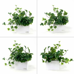 アートフラワー エミリオ・ロバ  アイビーS TTTTA-01070