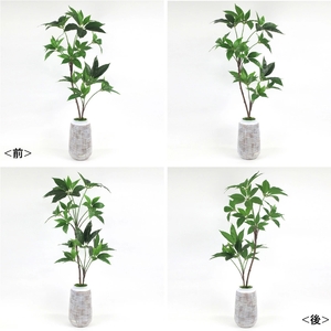 アートフラワー エミリオ・ロバ ツピタンサス TUTTA03350