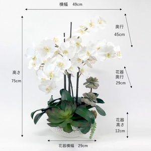 アートフラワー エミリオ・ロバ  ファレノプシスボタニカルXL TTUTA57500