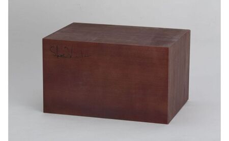 Shoewindow（DARK)　スニーカー シューズボックス シューズケース 靴 靴箱 インテリア 天然木 木製 収納 ディスプレイ