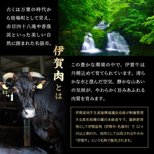 伊賀 忍者ビーフ ヒレ ステーキ 120g×3枚