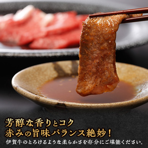 肉の横綱 伊賀牛 バーベキューセット1 800g(赤身、カルビ、サイコロ、厚切り牛タン、鶏モモ、豚カルビ)/冷凍発送 産直 自家牧場 焼肉 奥田 オクダ