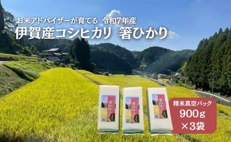 先行販売！令和7年度産　伊賀産コシヒカリ　極上　箸ひかり(精米真空パック)900ｇ×3袋 コシヒカリ 3年連続 特A 米 こしひかり ご飯 ごはん 白米 精米 三重県 名張市