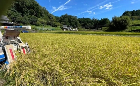 先行販売！令和7年度産　伊賀産コシヒカリ　極上　箸ひかり(精米真空パック)900ｇ×3袋 コシヒカリ 3年連続 特A 米 こしひかり ご飯 ごはん 白米 精米 三重県 名張市