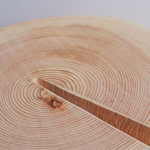 MORITO 森の丸太スツール<ヒノキ/磨き丸太仕上げ> オットマン 椅子