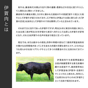 肉の横綱　伊賀牛　リブロース　300g×2枚　ステーキ　焼肉 ／ 冷凍発送　産直　自家牧場　最高級　贅沢カット　三重県　名張市　奥田　オクダ