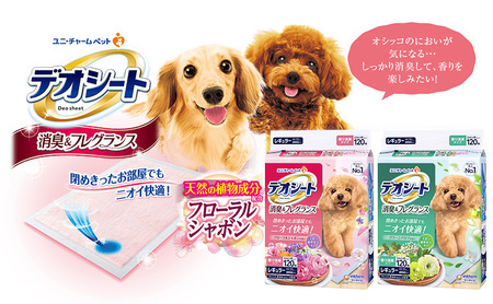 【期間限定】生活応援価格　デオシート 消臭&フレグランス グリーンアロマレギュラー 120枚×4