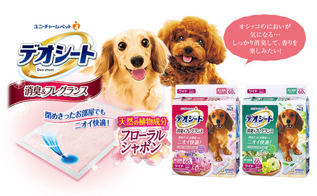 【期間限定】生活応援価格 デオシート 消臭&フレグランス グリーンアロマの香り ワイド 60枚×4