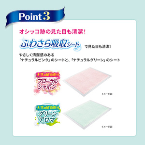 【期間限定】生活応援価格 デオシート 消臭&フレグランス グリーンアロマの香り ワイド 60枚×4
